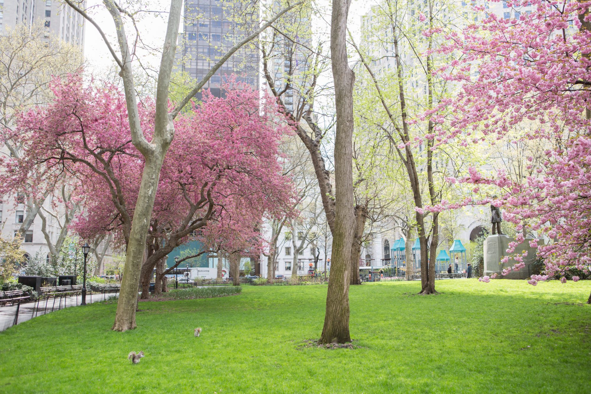 MSPC-spring_20170419_0047-31-e1522698211975