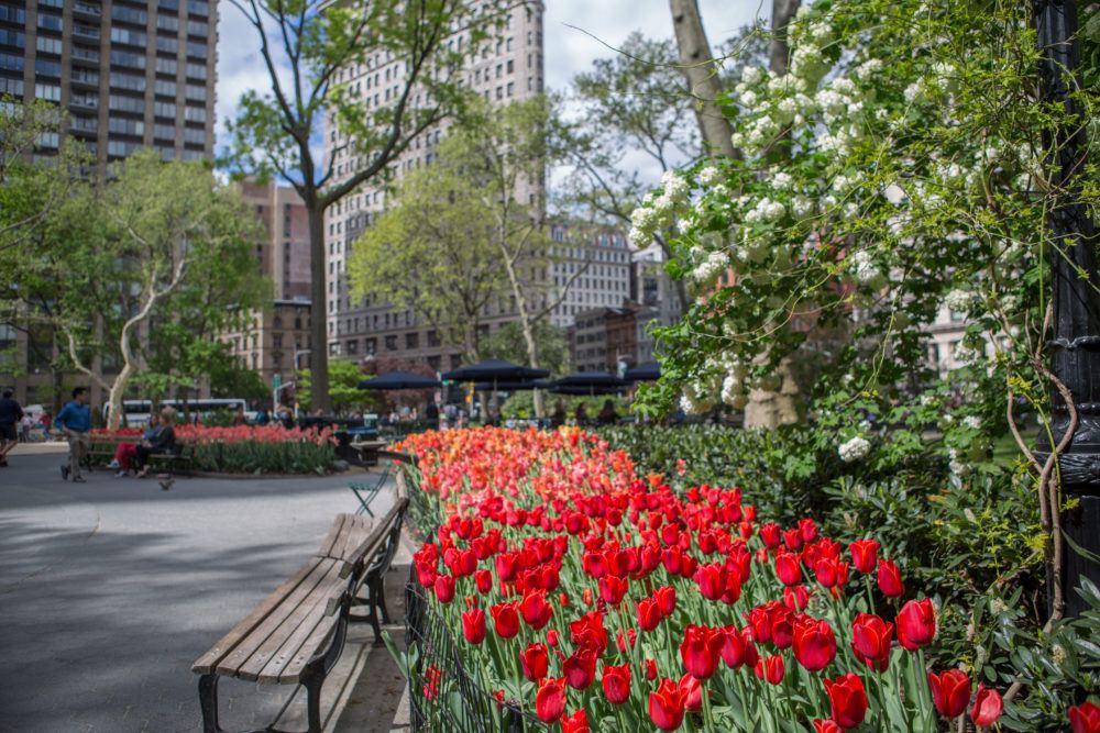 MSPC_20170503_0030-29-e1533929537237