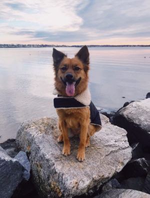 image5-e1551273677653