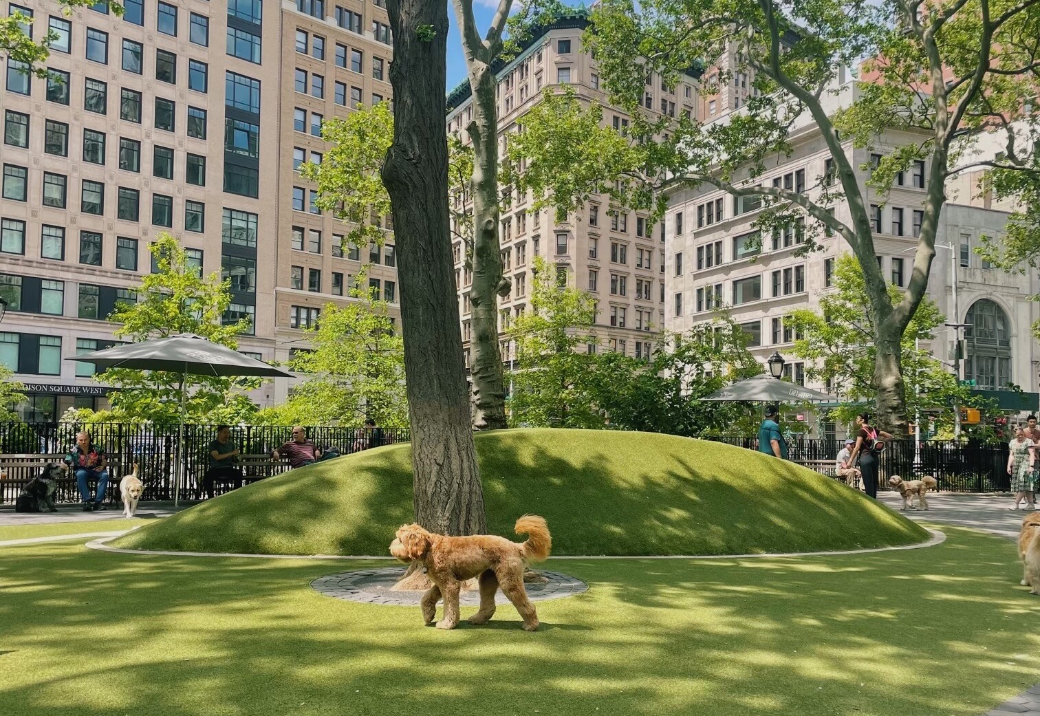 Processed With VSCO With C3 Preset