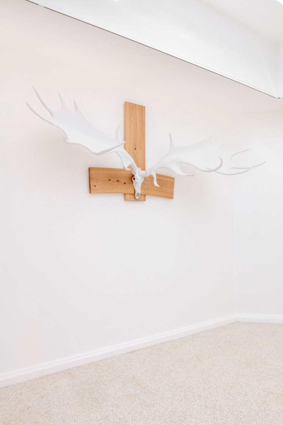 04 HIBERNIAN TESTOSTERONE 1