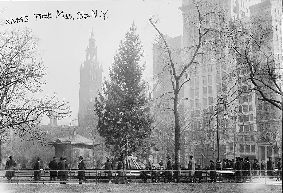 Christmas Tree at Madison Square Park, 1912