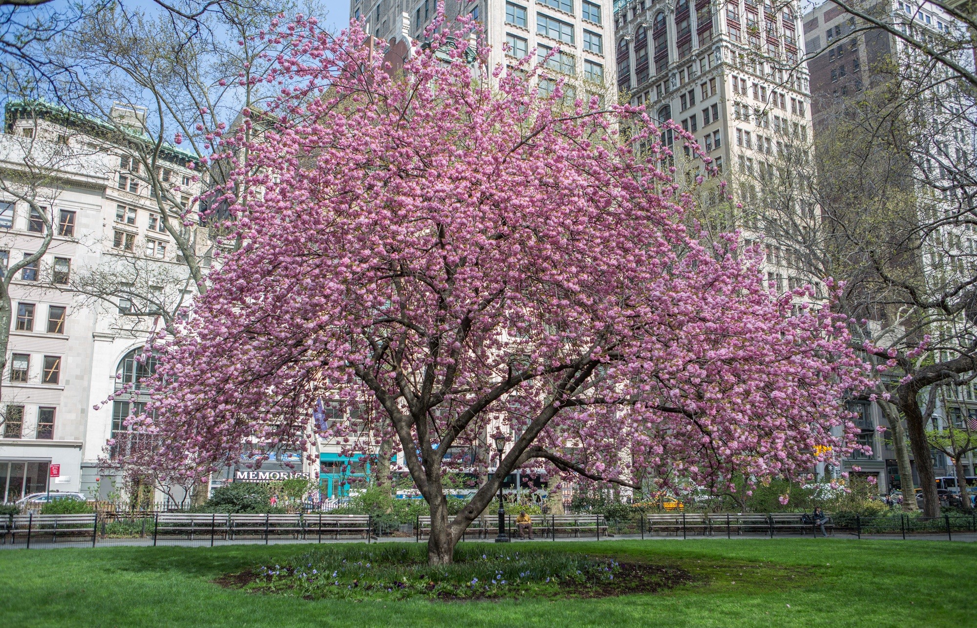 Madison Parkeさん専用 Tall glass: inside Madison Square Park Tower | Wallpaper*