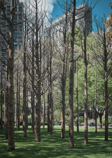 Screen Shot 2021 06 28 At 12.33.31 PM