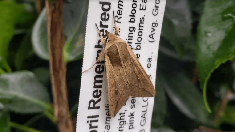 Screen Shot 2021 07 14 At 4.34.22 PM