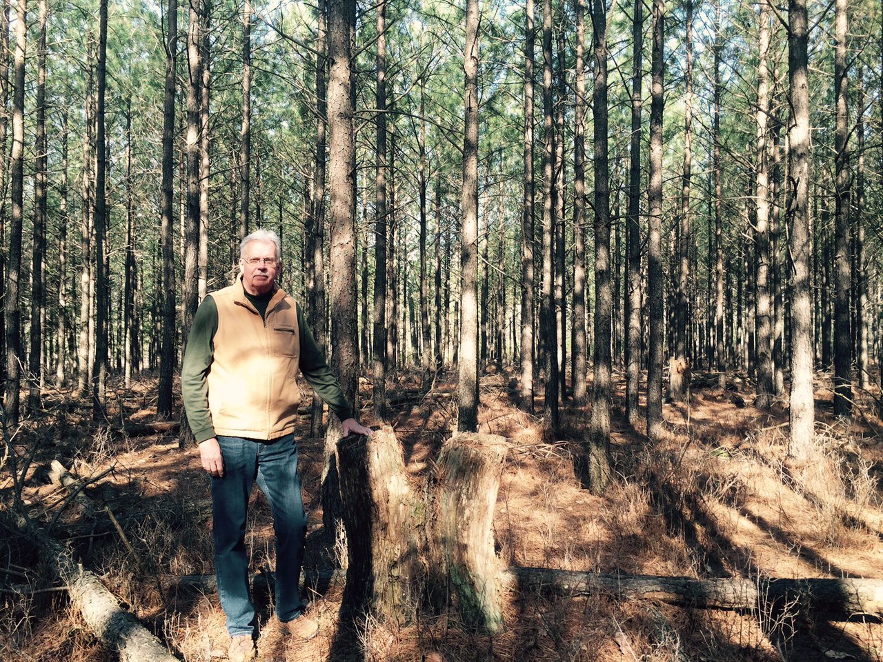 Bob Williams Forest (1)