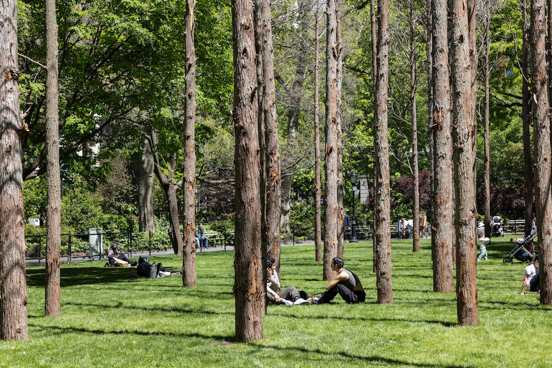 Ghost Forest 130521 0009 9 (1)