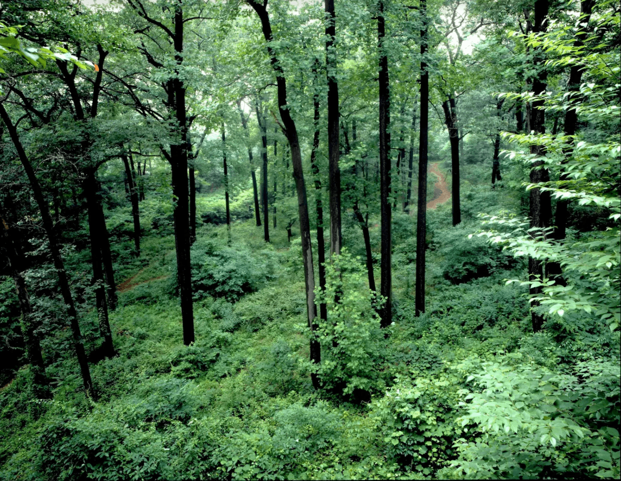 Screen Shot 2021 09 02 At 1.48.03 PM