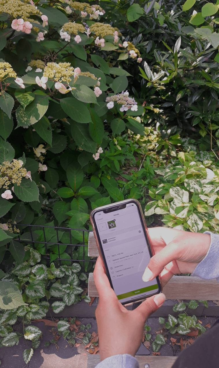 Screen Shot 2021 11 15 At 12.07.05 PM