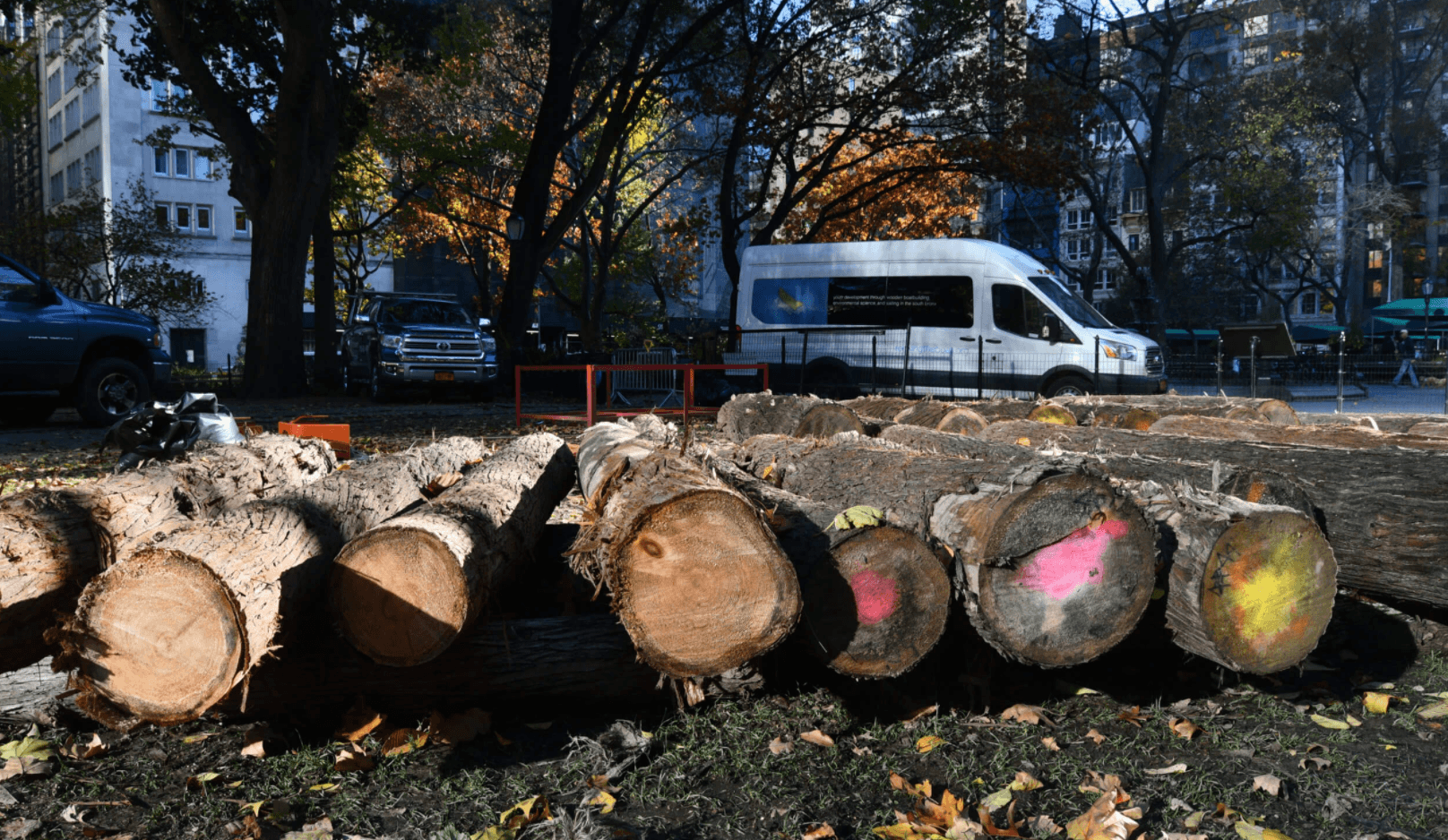 Screen Shot 2021 11 23 At 12.36.47 PM