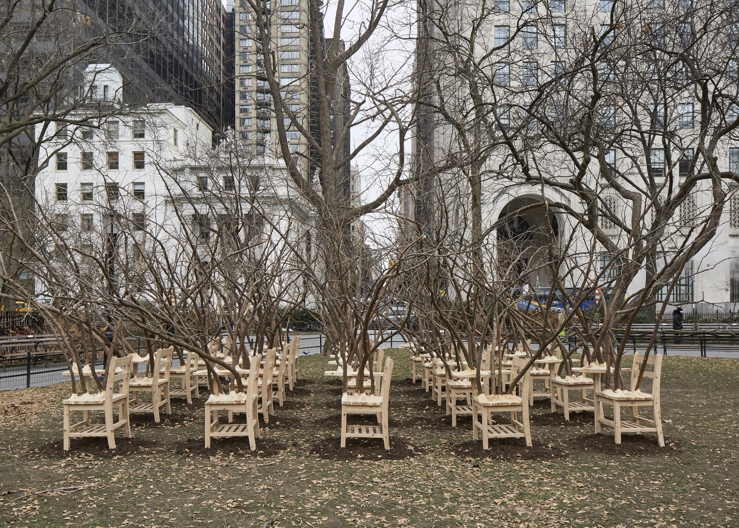 The Brier Patch Exhibition, featuring school desks on the park lawn bursting with tree limbs. City...
