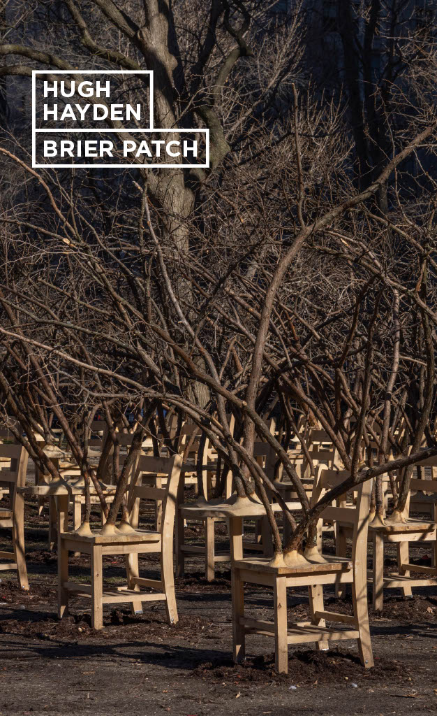 Brier Patch Catalogue Cover