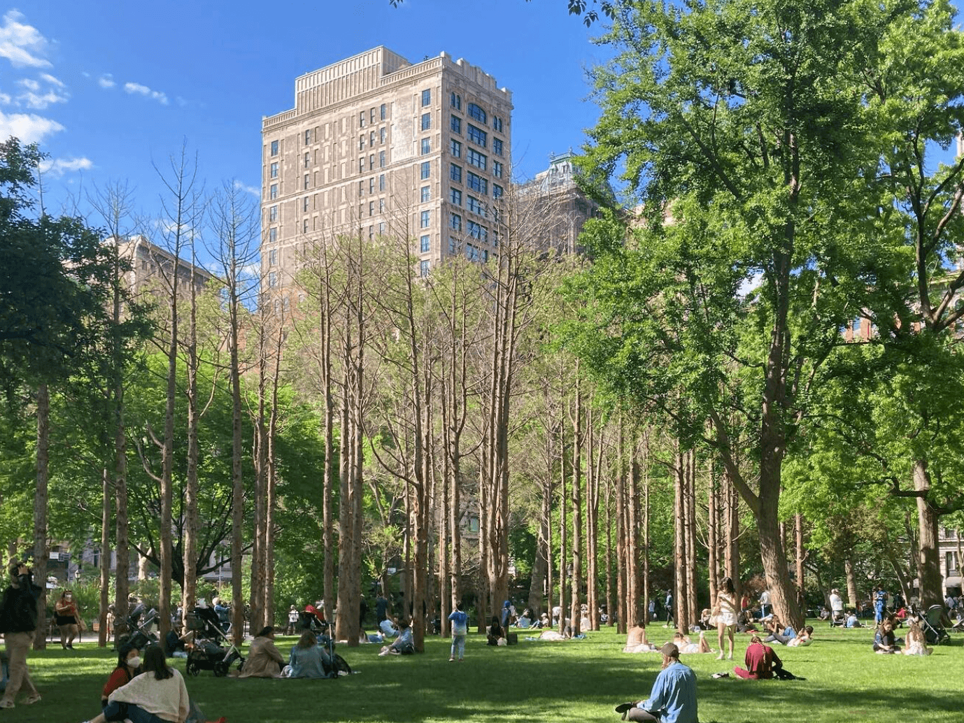 Screen Shot 2021 12 07 At 12.23.05 PM