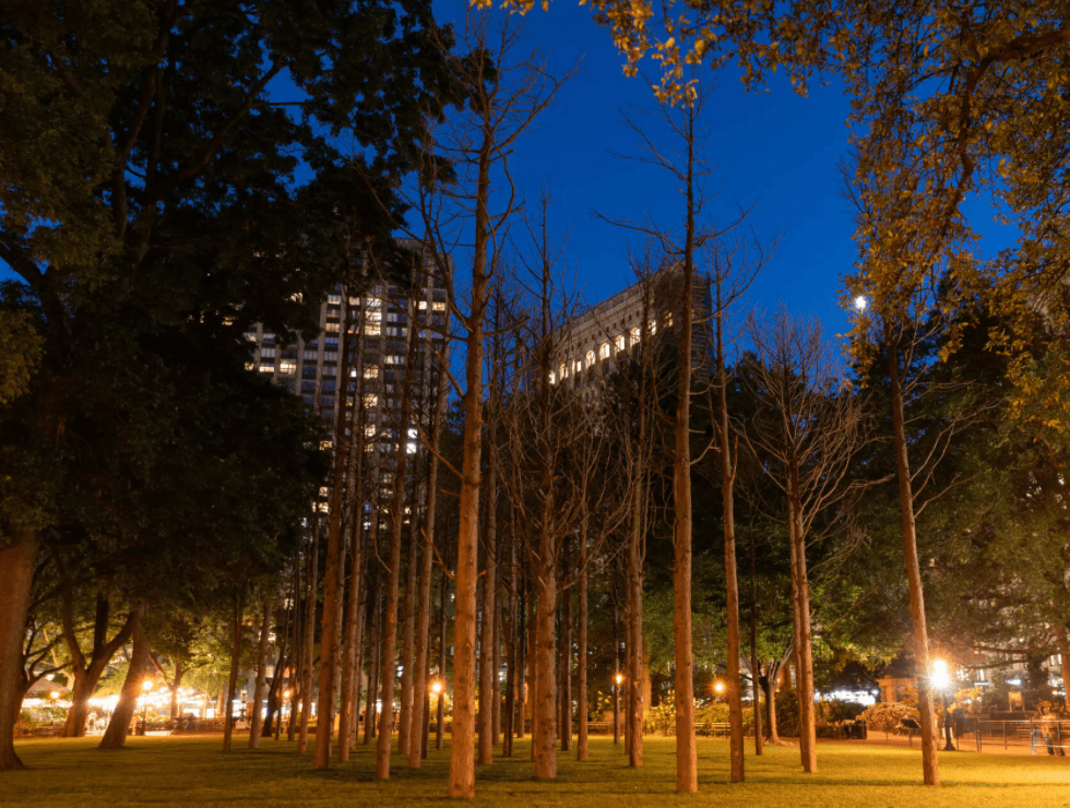 Screen Shot 2021 12 07 At 12.38.26 PM