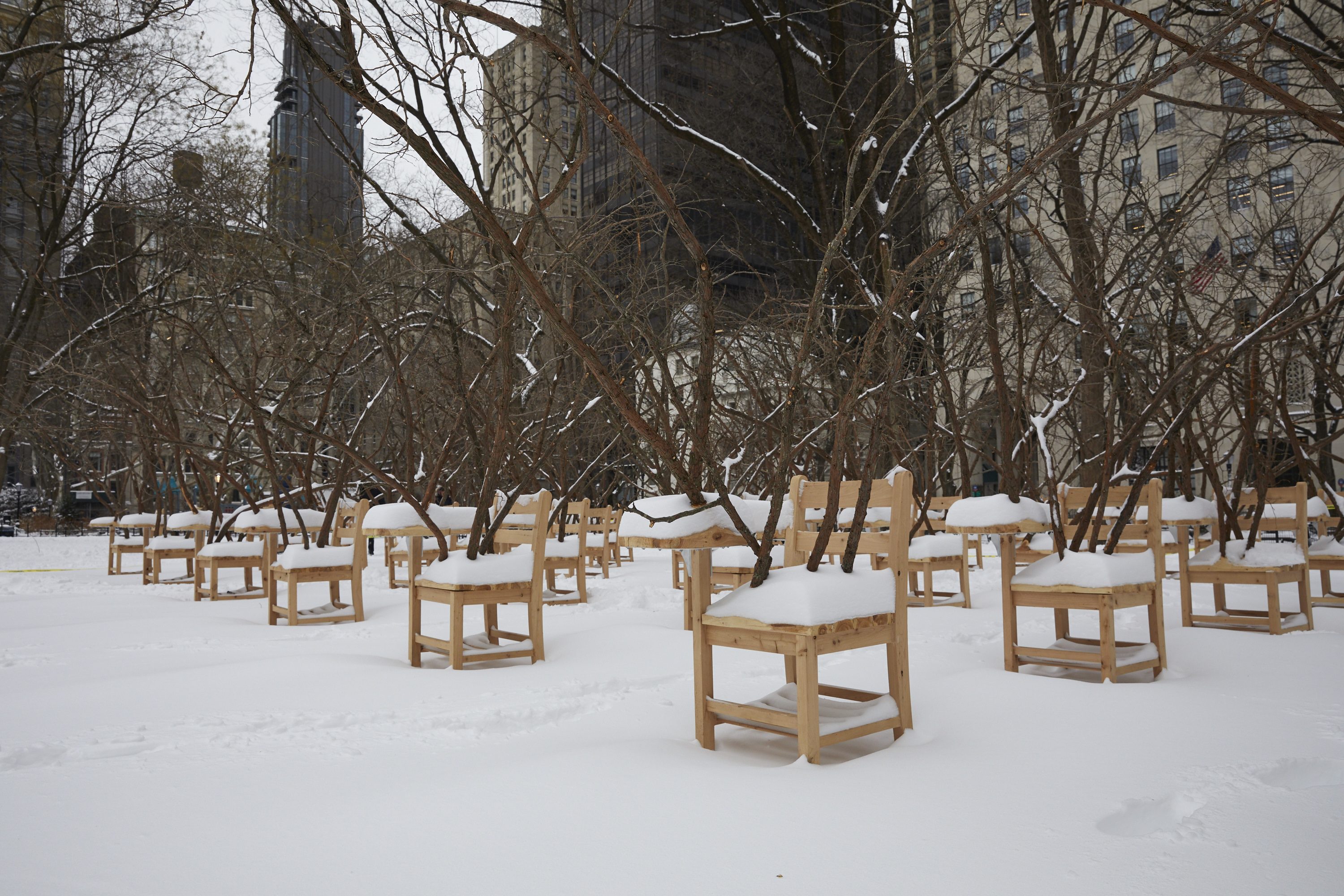 Madison Square Park, Hugh Hayden, Brier Patch