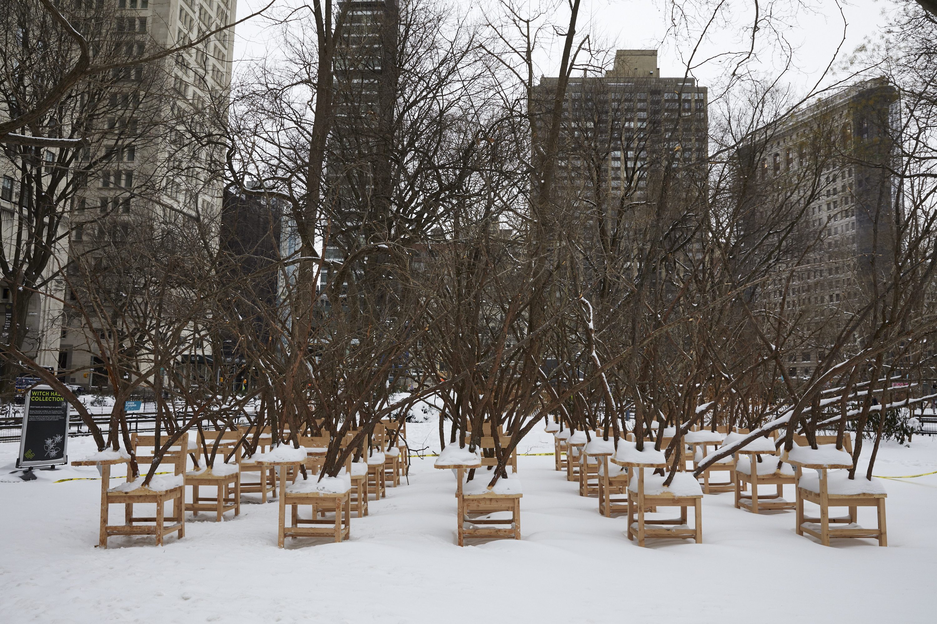 Madison Square Park, Hugh Hayden, Brier Patch
