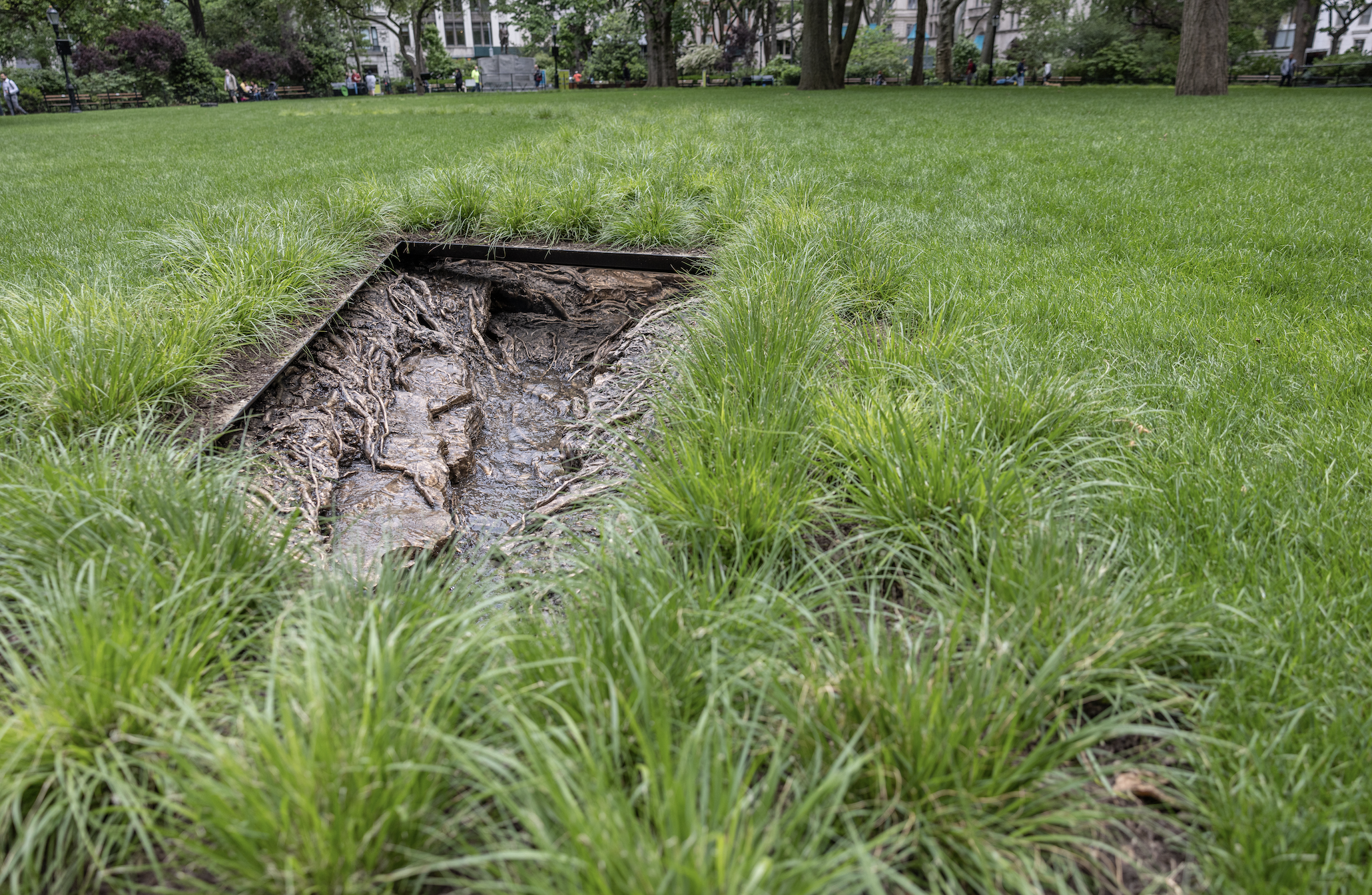 Screen Shot 2022 05 31 At 10.34.46 AM