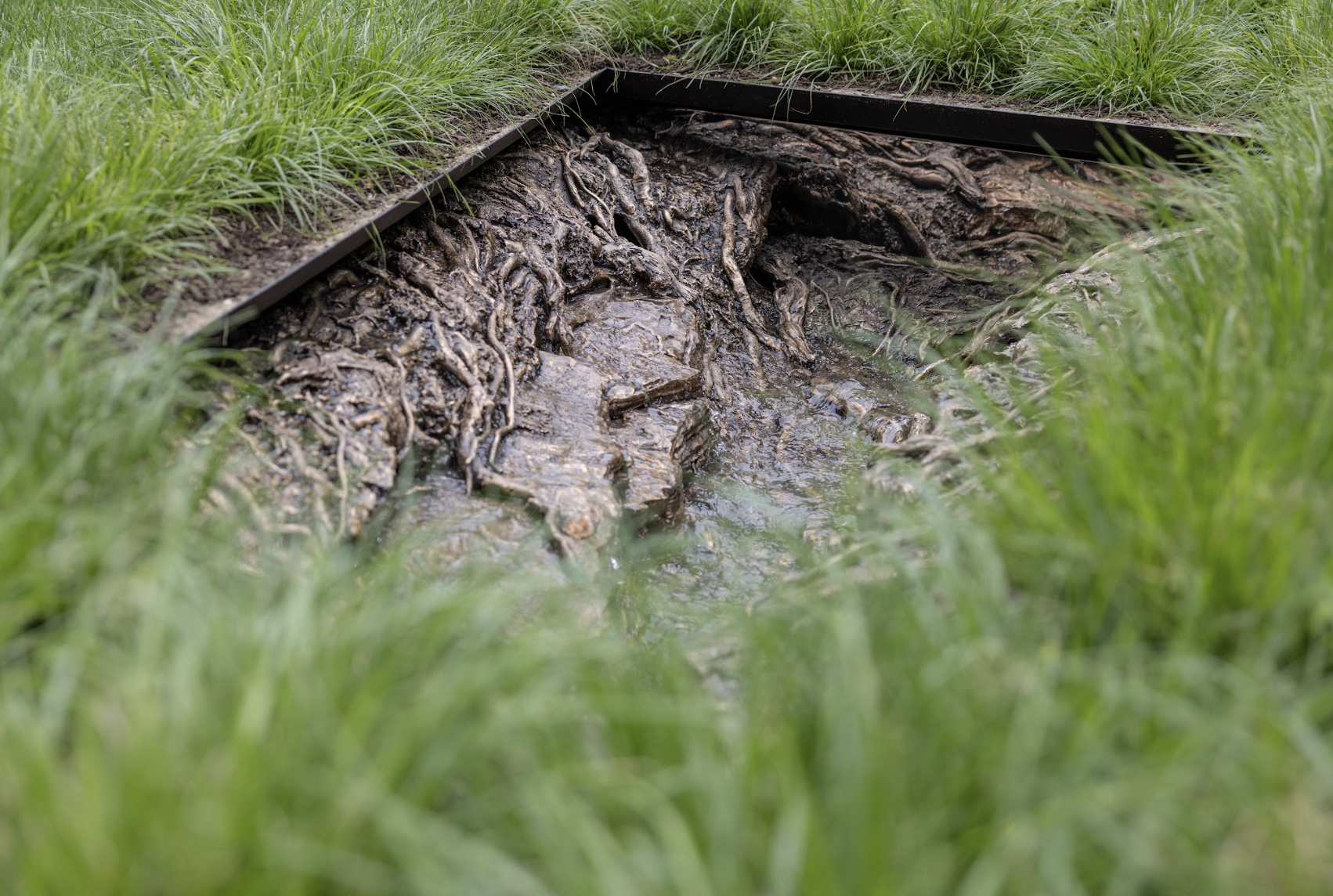 Screen Shot 2022 05 31 At 11.09.25 AM