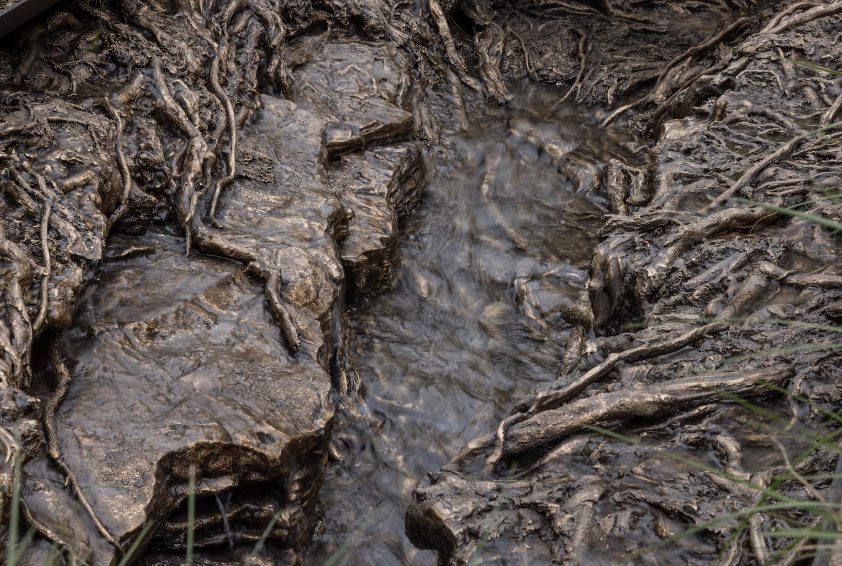 Screen Shot 2022 05 31 At 11.09.27 AM