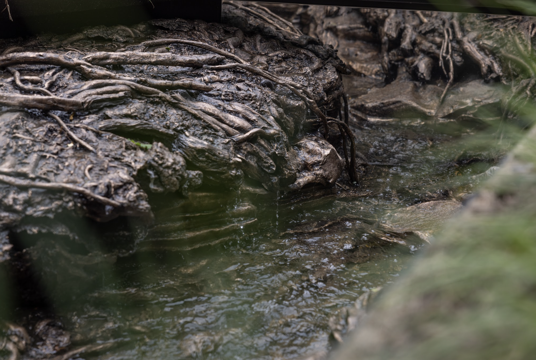 Screen Shot 2022 05 31 At 11.09.31 AM