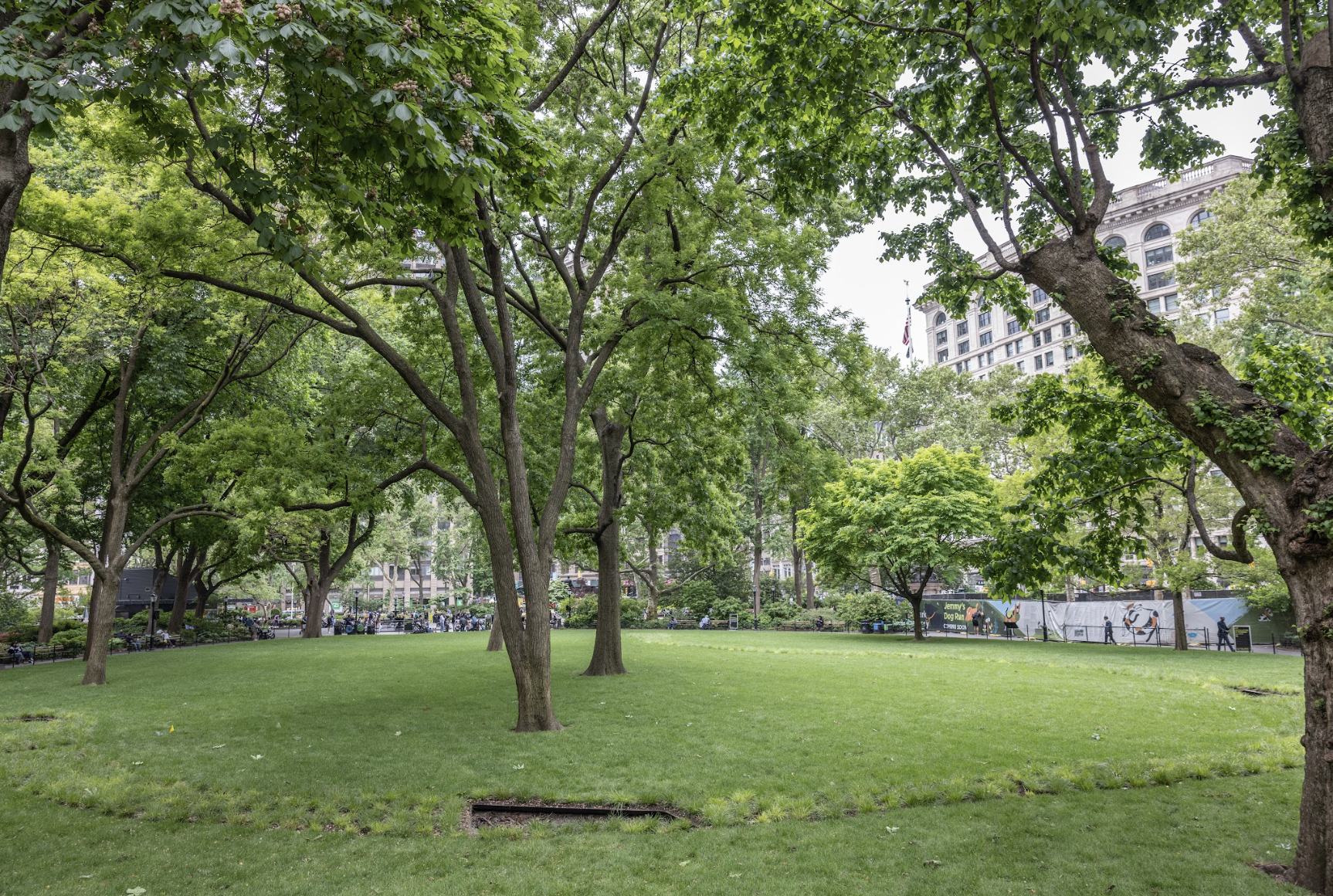 Screen Shot 2022 05 31 At 11.09.53 AM