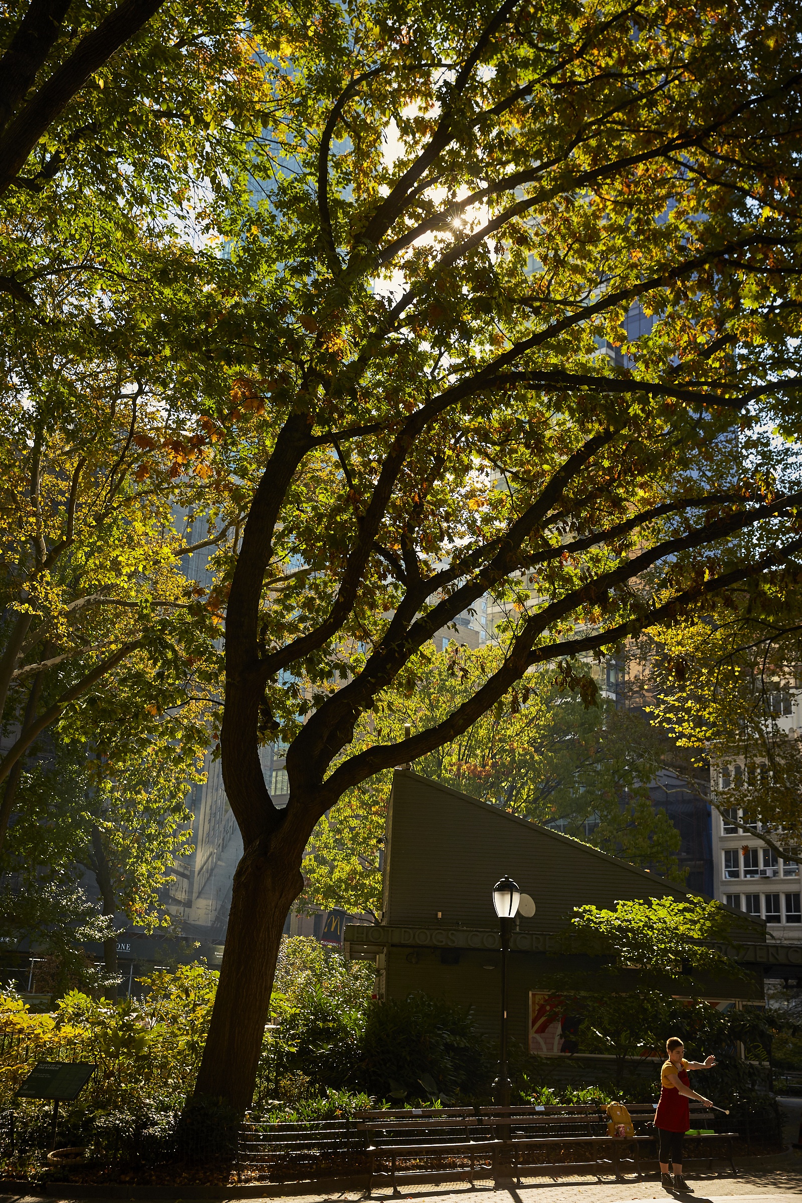 Madison Square Park , NY 2021