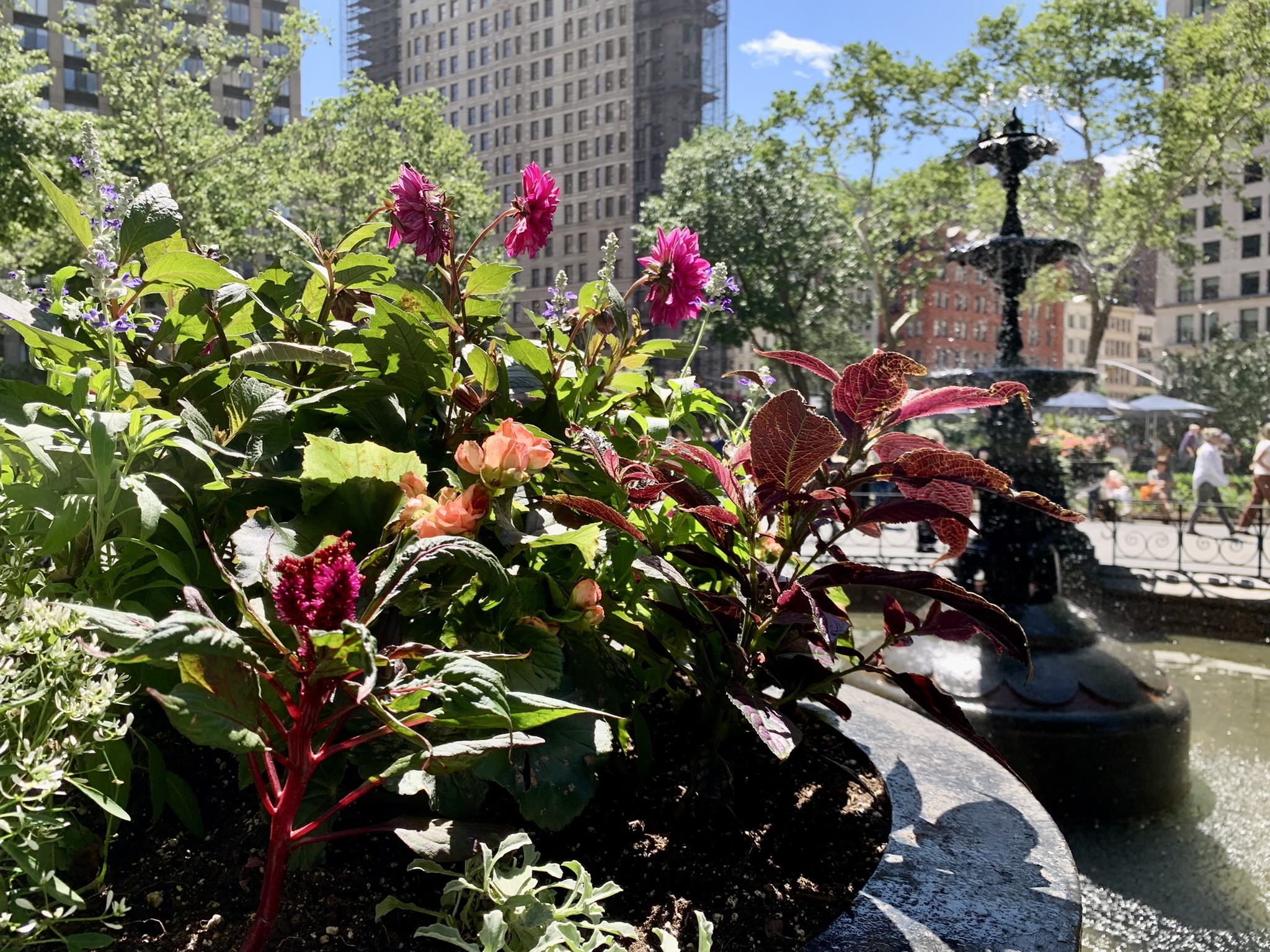 6A247D49 D00F 40E6 A49E FA037F42F3C5