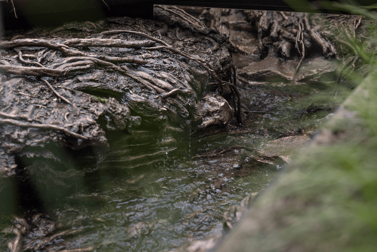 Landscape And Memory Side Flow Rashmi PNG