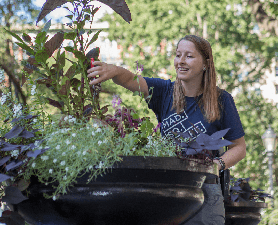 Steph Gardening