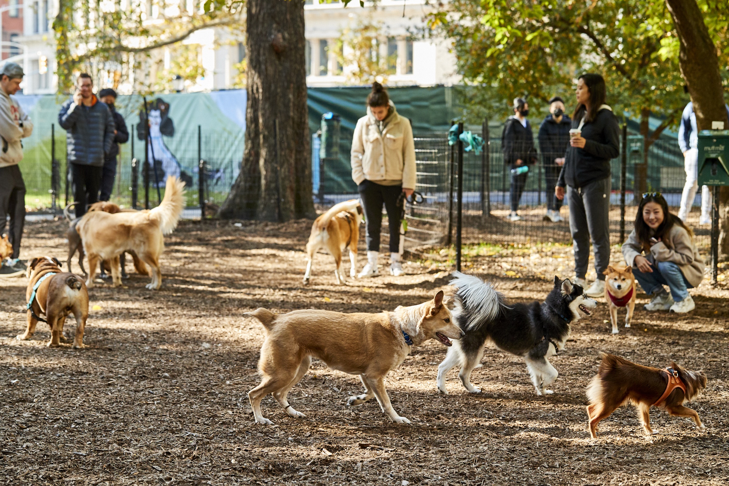 Madison Square Park , NY 2021