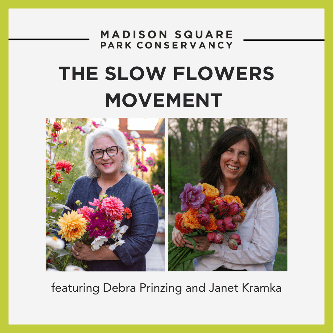 The Slow Flowers Movement