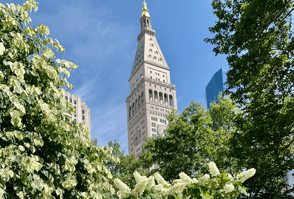 Horiz Crop Martin Edition