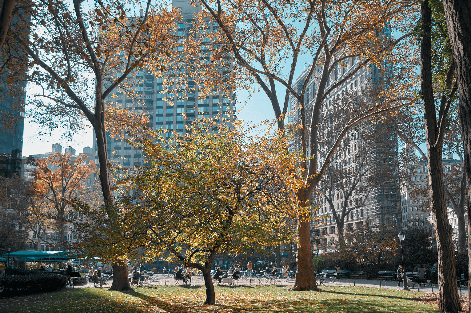 Romer Png Fall Tree Shack