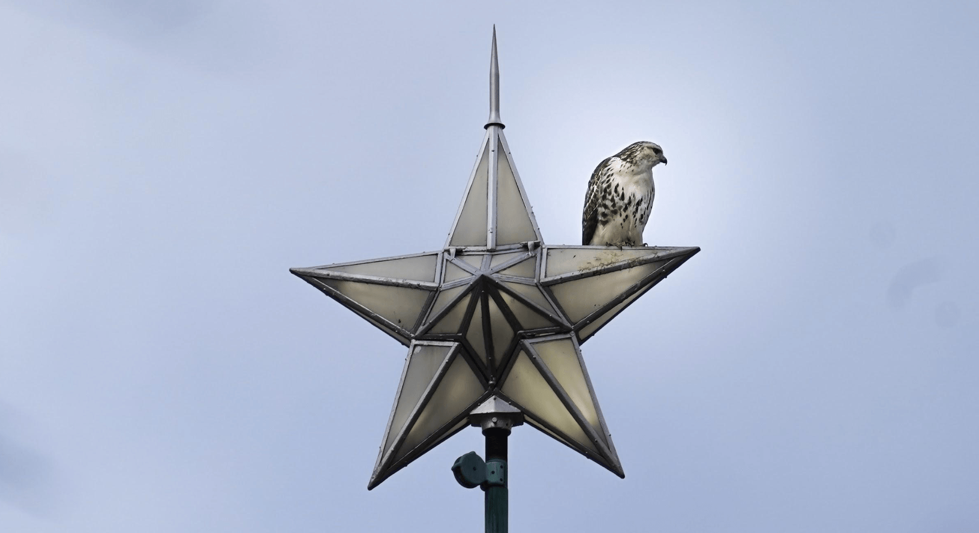 Screen Shot 2023 01 03 At 3.04.22 PM