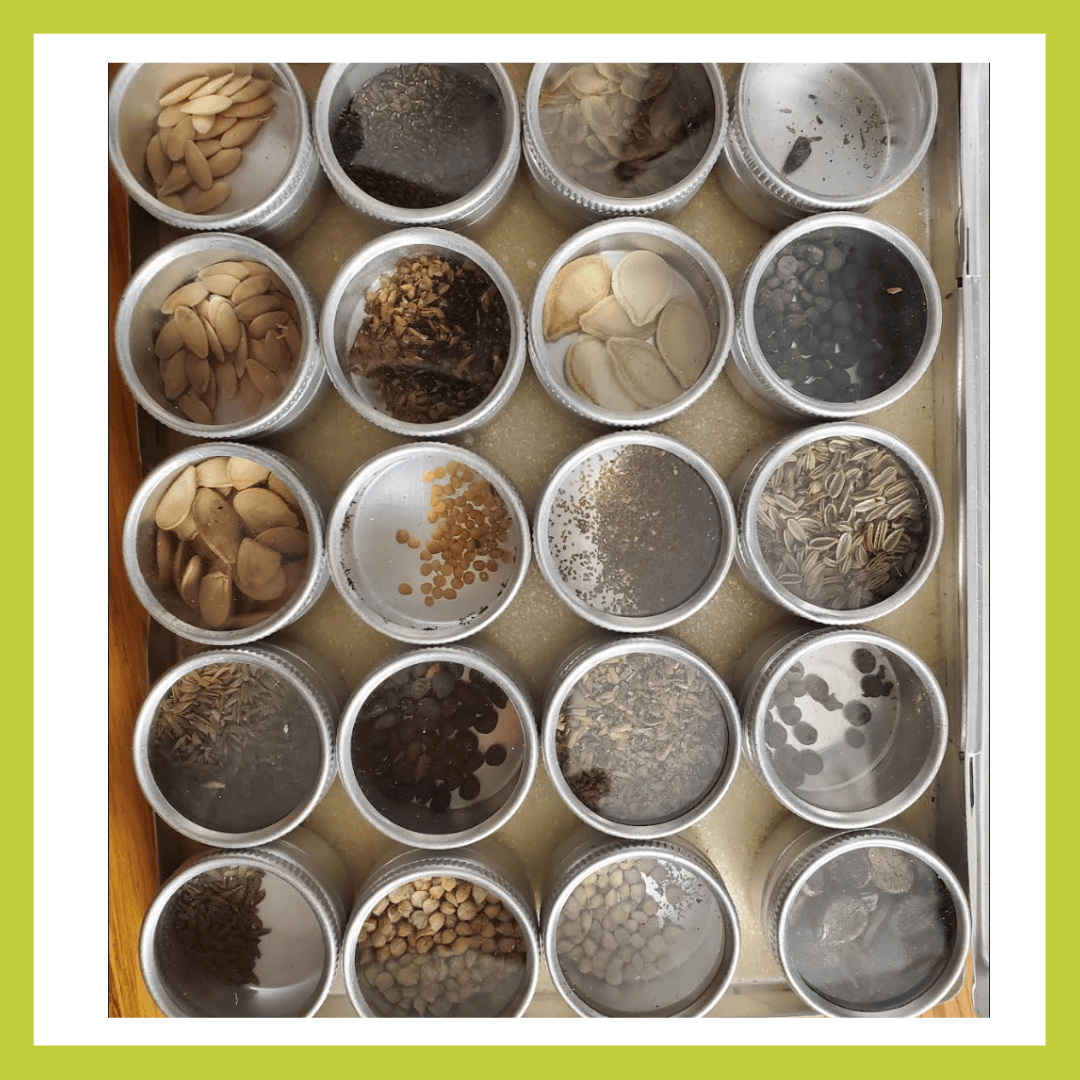 Mad. Friends Perk (2)