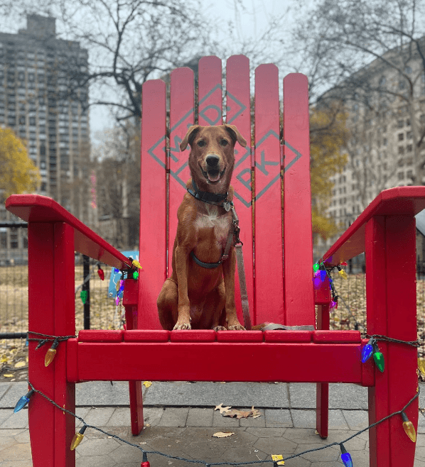 Screen Shot 2023 01 20 At 12.11.37 PM