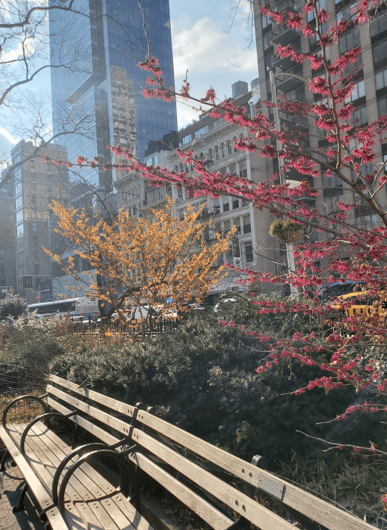 Screen Shot 2023 02 08 At 3.22.09 PM