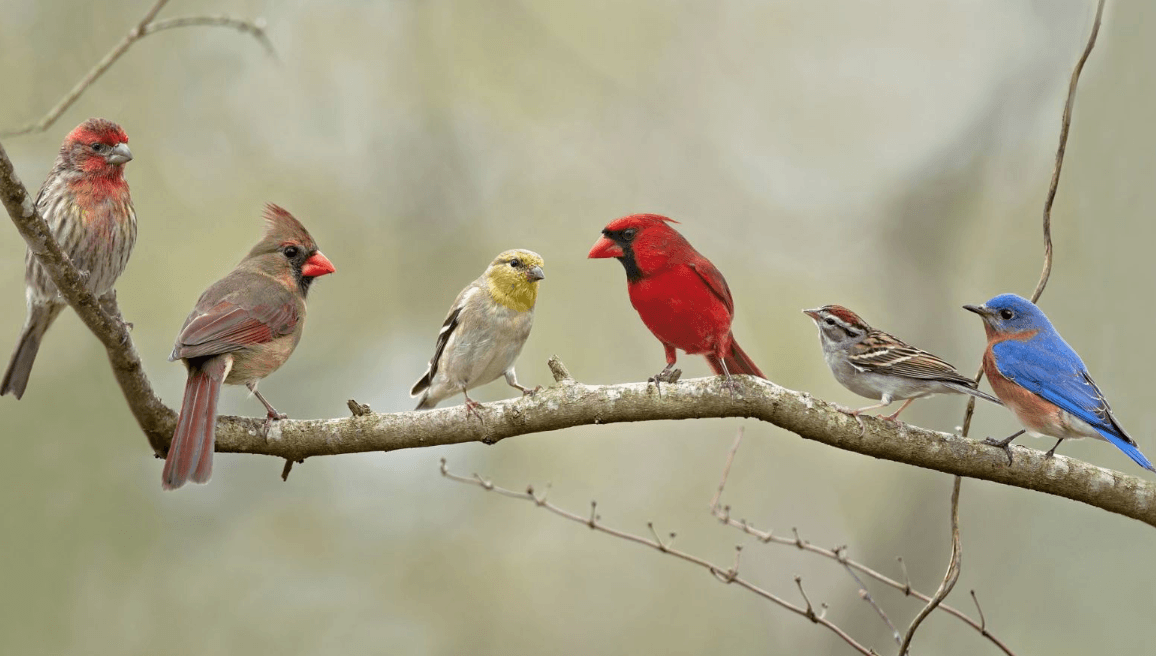 Screen Shot 2023 02 28 At 11.41.52 AM