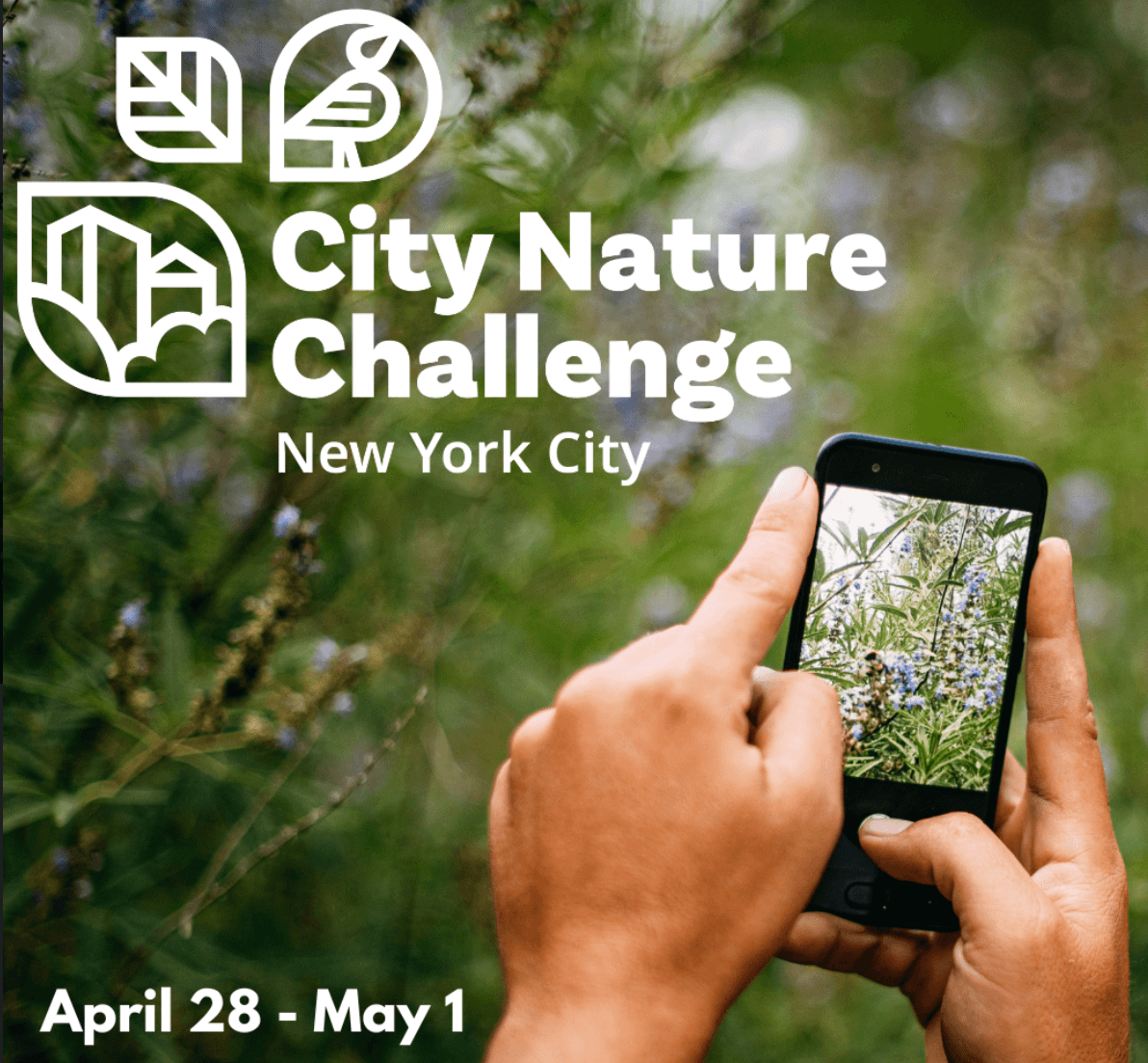 Screen Shot 2023 03 15 At 1.42.31 PM