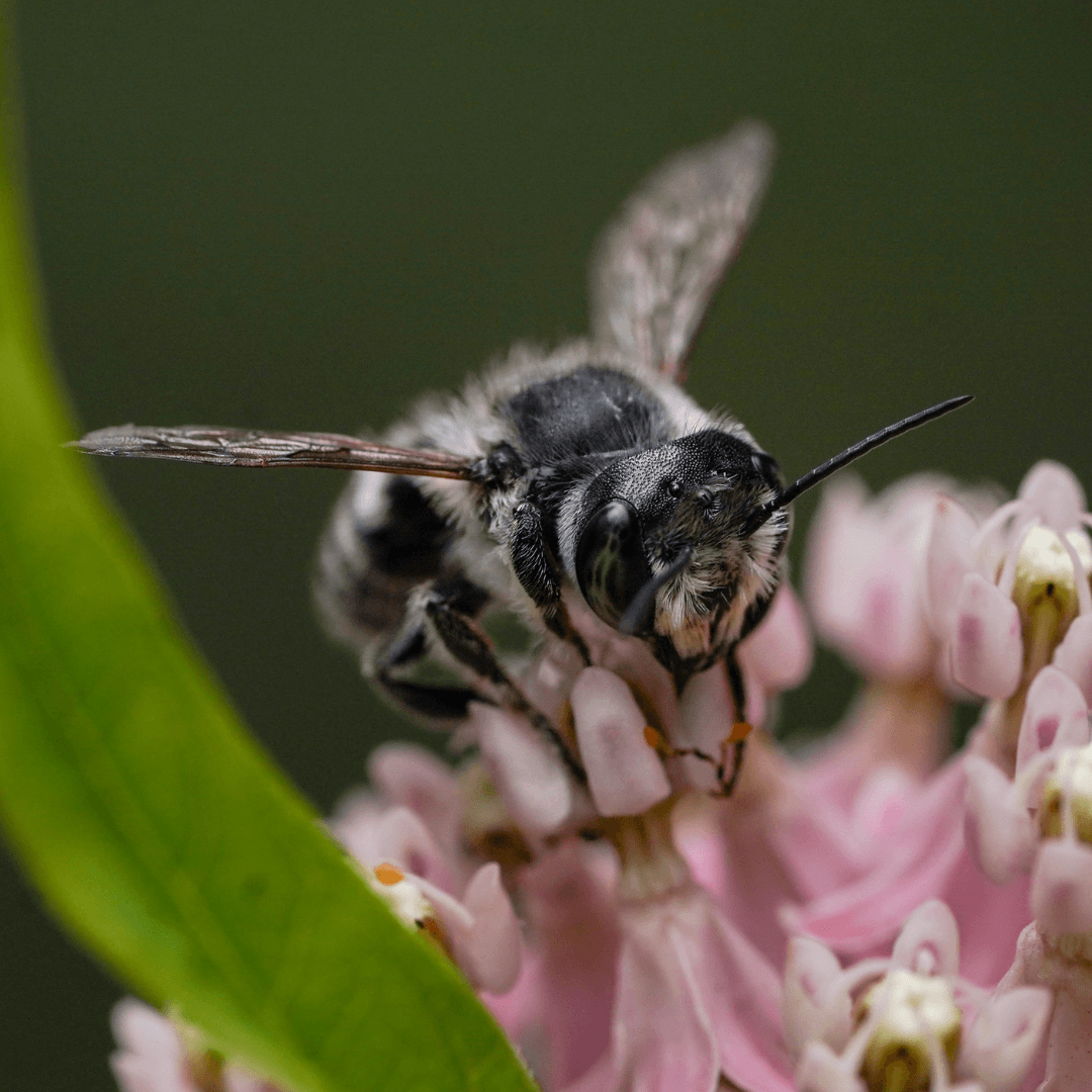 Wildlife Outing 5.23.23