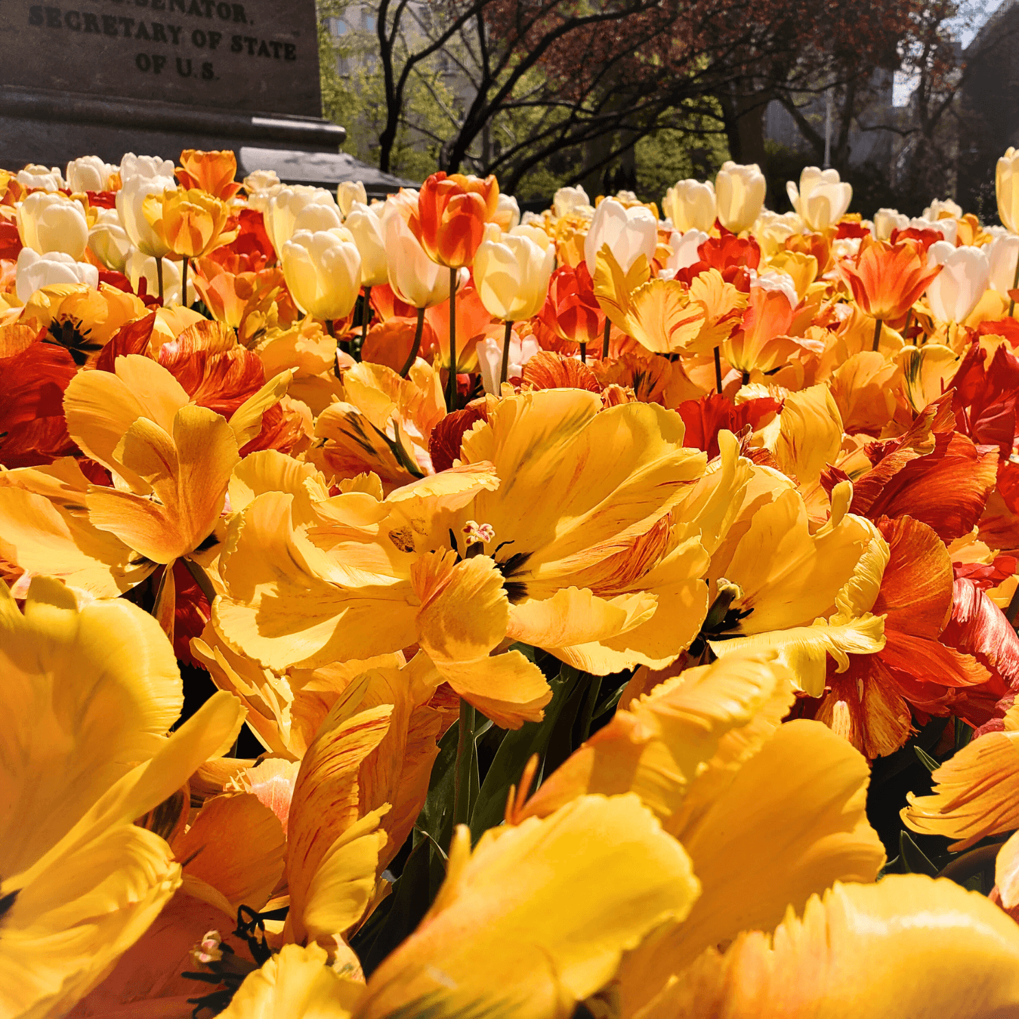 Newsletter Graphics 5.17.23 (1)