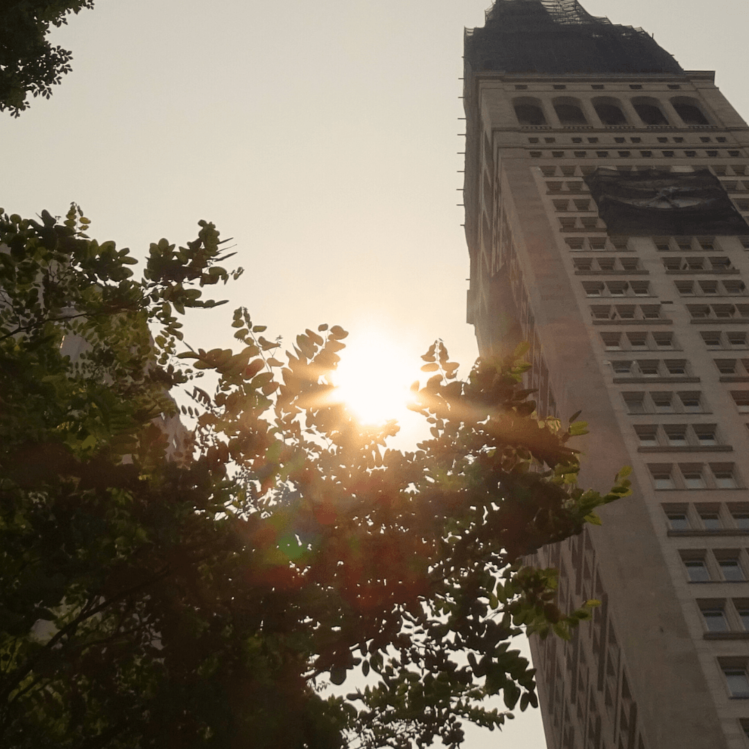 Fire In The Sky 6.7.23