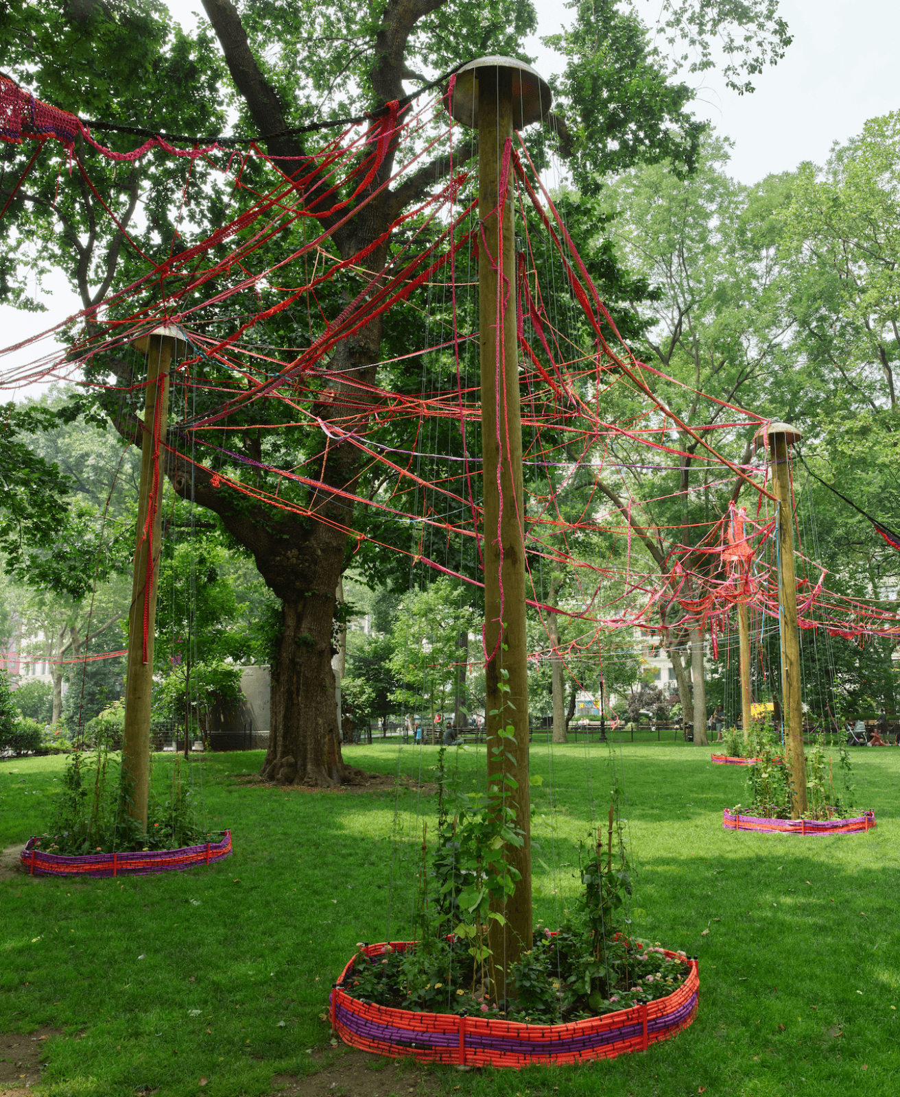 Pepe Hero 2 – Hort 7.26.23