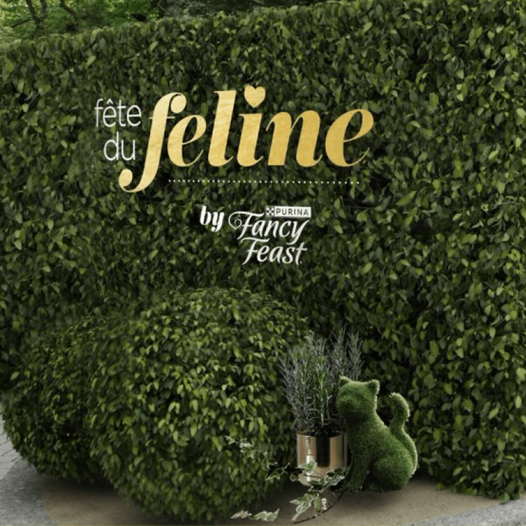 Fancy Feast Visuals 7.28.23 (1)