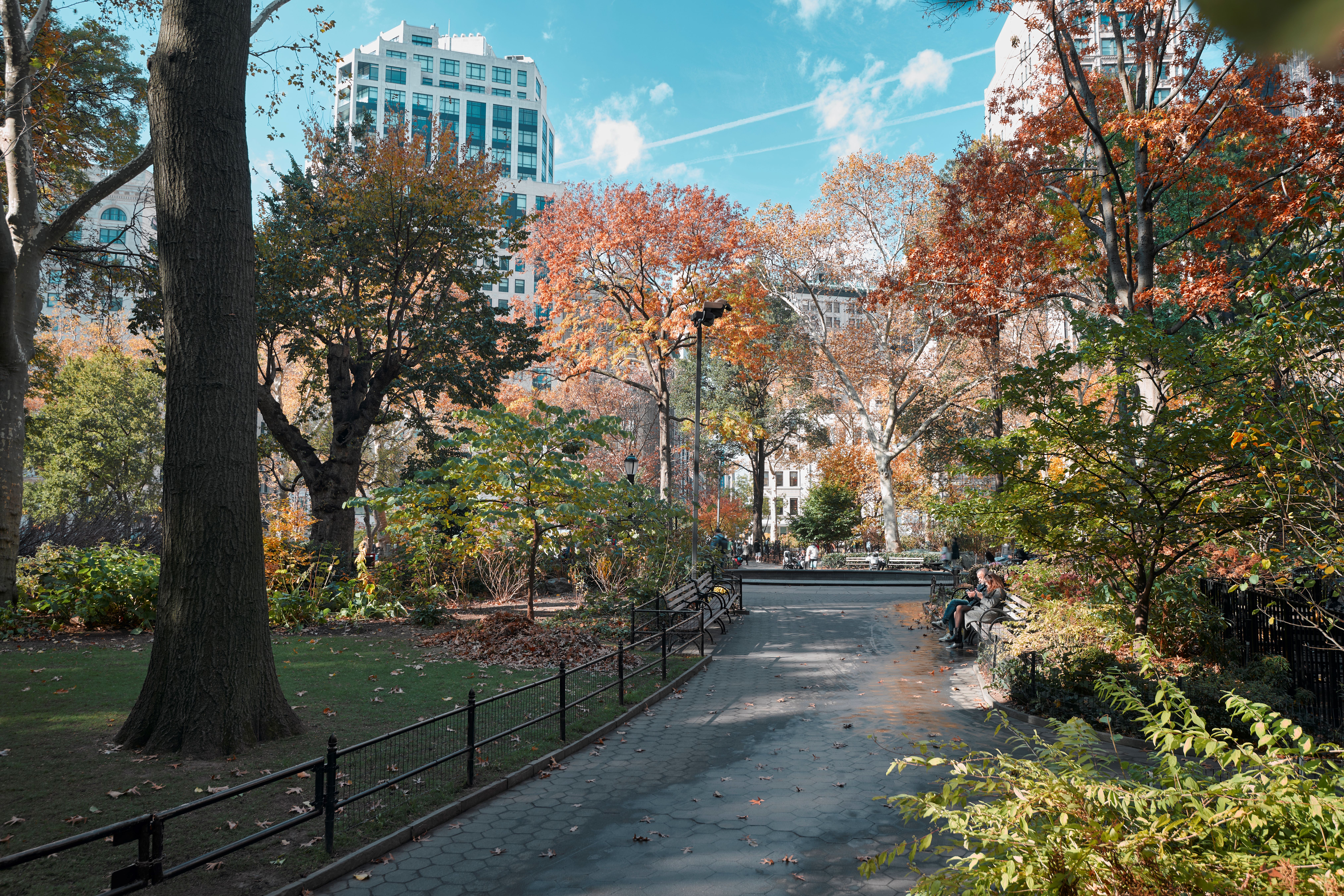 MSPC FallViews 111521 0422 (1)