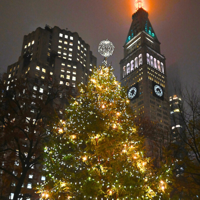 Madison Square Park Holiday Tree Lighting — Madison Square Park Conservancy