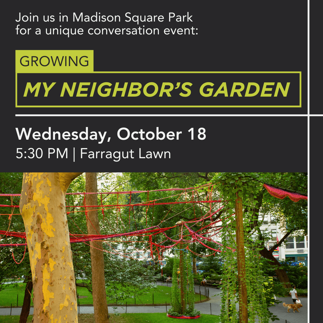 Growing My Neighbor’s Garden 10.9.23