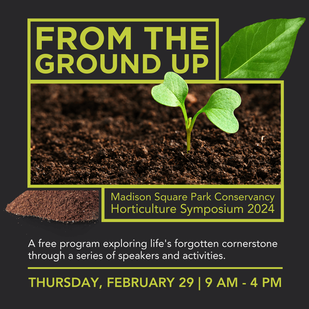 From The Ground Up 11.15.23