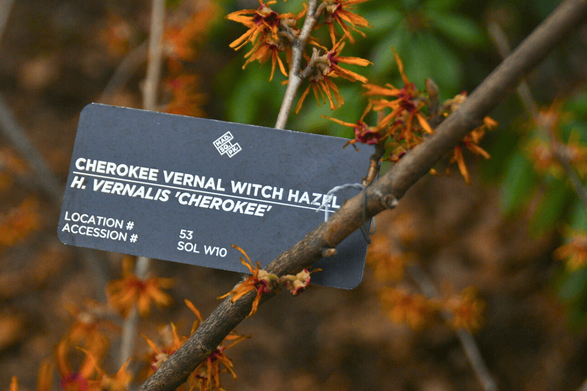 Email Headers 2023 2024 (7)