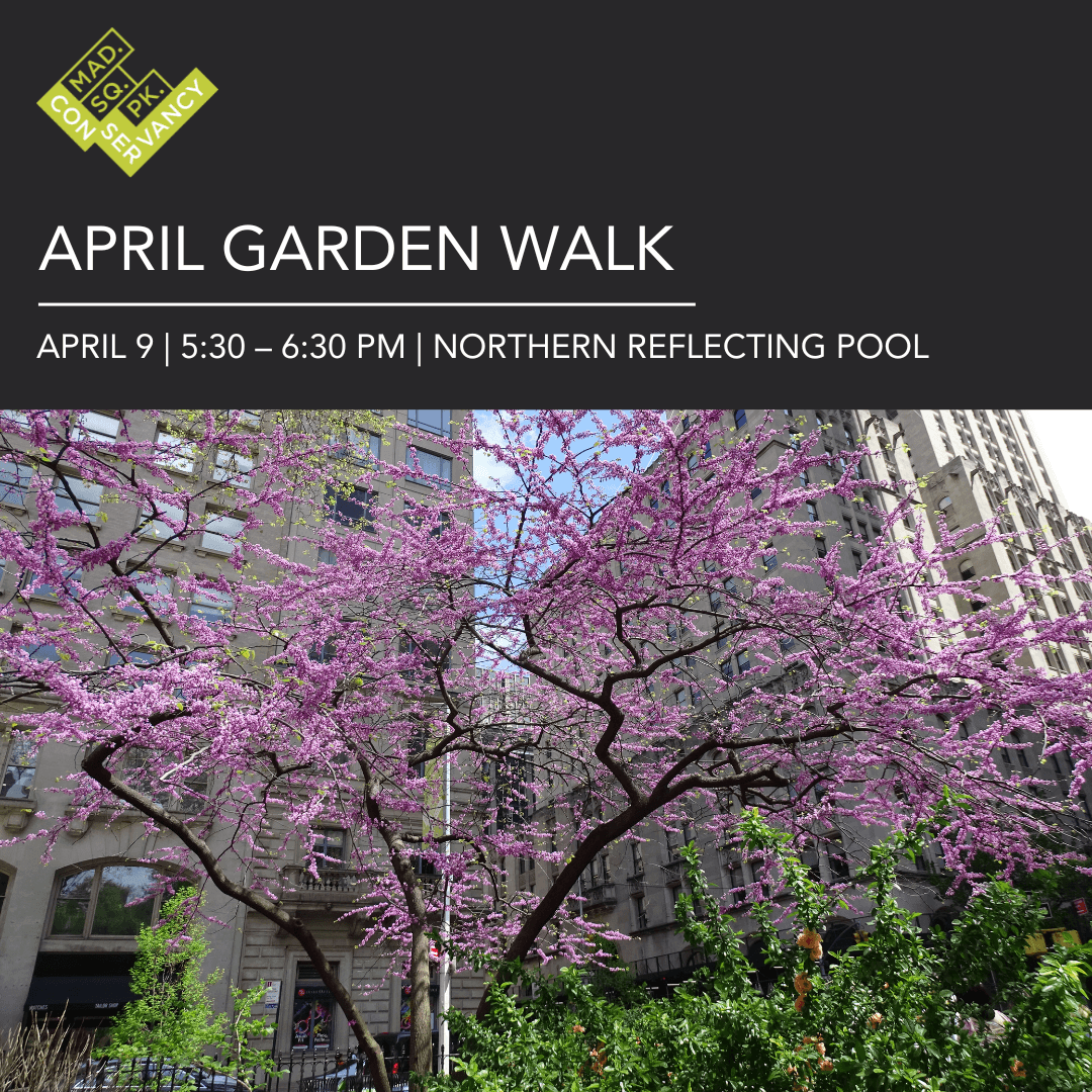 Website Event Images (1)